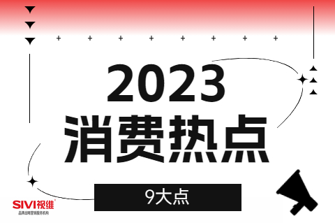 2023年9大消费热点